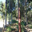 한증막펜션 이미지