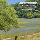 나비채생태공원 | 함안 악양둑방길 - 2.5km 꽃길로 유명한 대구근교 데이트코스, 나들이 가볼만한 곳