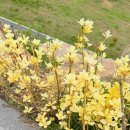 남산공원 관리사무소 화장실 이미지