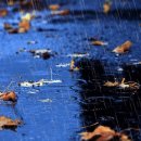 다양한 눈(雪)과 비(雨)의 종류 이미지
