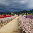 용일