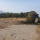 오케이농장 이미지