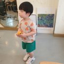 마메드롱