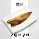 싱싱제주 | 제주 제주시 원담 제주본점, 싱싱한 고등어회 맛집 탐방 후기
