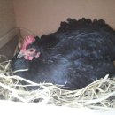 골짜기농장 이미지