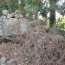 상예동-4 이미지