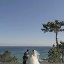 씨마크호텔 | W05. 강릉 웨딩홀 투어 -강릉 씨마크호텔 웨딩 💒 (계약후기)