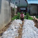 금포초등학교 이미지