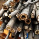 칠목농장 이미지