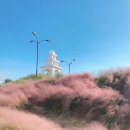 보타니카170 이미지
