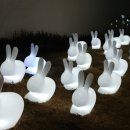 별빛정원 펜션 이미지