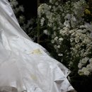 (주)원앤온리메디칼 | 가장 가까운 곳에서 머문 시선, 원앤온리 결혼식 아이폰 스냅 추천✨