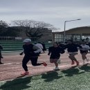 옥천군청