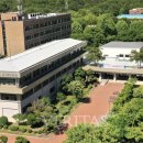 영남대학교 교원 이미지