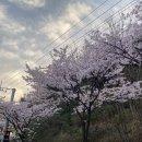 펜션 루 | [인천/강화] 강화도 노을펜션 "펜션루나" 이용 후기