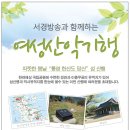 상대동 서울내과 앞 이미지