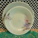 글라스파파 이미지