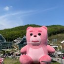 곰휴게실 - 진도군 남문길 38 | 곰휴게실