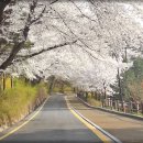 남산파출소 이미지