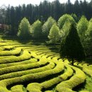 눈다리 노래방 이미지