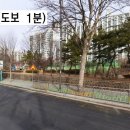 간선-81 이미지