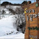 평창군 종합관광안내소 이미지