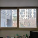 그린시티 이미지