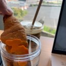 신스포레스트 네이버블로그