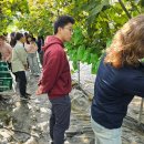 박상윤농장 이미지