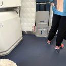 7273 | 델타항공 후기(KE7273) 🇺🇸 디트로이트 공항, 미국 입국심사 질문 기록