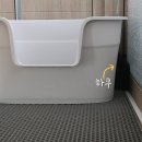 반여착한동물병원 | 고양이 입양 후기. 하쿠에게 쓰는 사랑의 편지. 대전동물보호센터