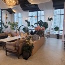 카페(cafe)732 네이버블로그