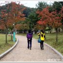 송광미화 네이버블로그