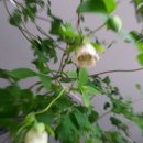 정릉1동 주민센터 이미지