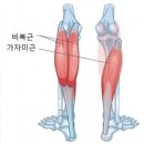 온다필라테스