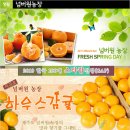 영자농장 네이버블로그