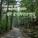 행복숲체험원오토캠핑장 | [충주 문성자연휴양림] 가족 여행 성지, 곤충 체험부터 캠핑까지
