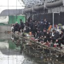 중흥 낚시터 이미지