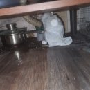 풍무동 당구장 이미지