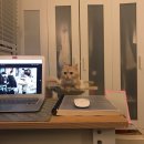 오;예쁨
