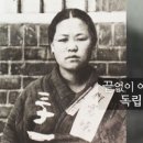 역사를 잊은 민족에게 미래는 없다 이미지