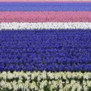 복음농장 이미지