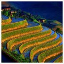 소지로08
