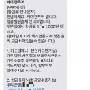 캔투어여행사
