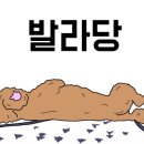 베리국 이미지