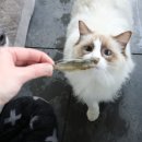 오메가플러스 이미지