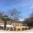 돌할매식당 이미지