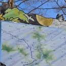 함백산 할매민박 이미지