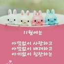 금요 편지/11월 1일/오직 그림자일 뿐-삶의 외진 길에서 이미지