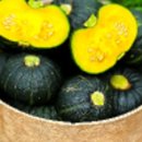 다희농원 이미지